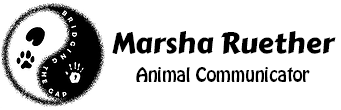 Marsha Ruether | Animal Communicator